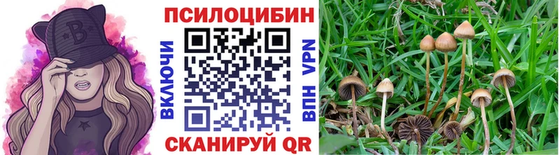 сайты даркнета официальный сайт  Фурманов  Галлюциногенные грибы Psilocybe 