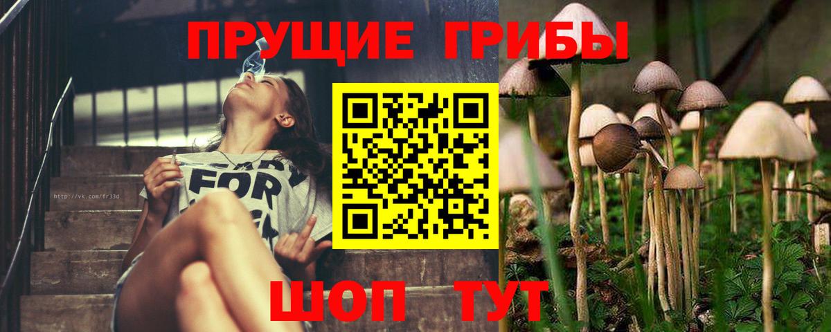 Псилоцибиновые грибы мицелий  Вход с VPN  Фурманов  Галлюциногенные грибы GOLDEN TEACHER 